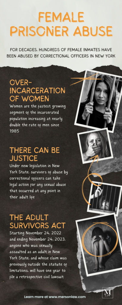 female prisoner abuse statistics infographic